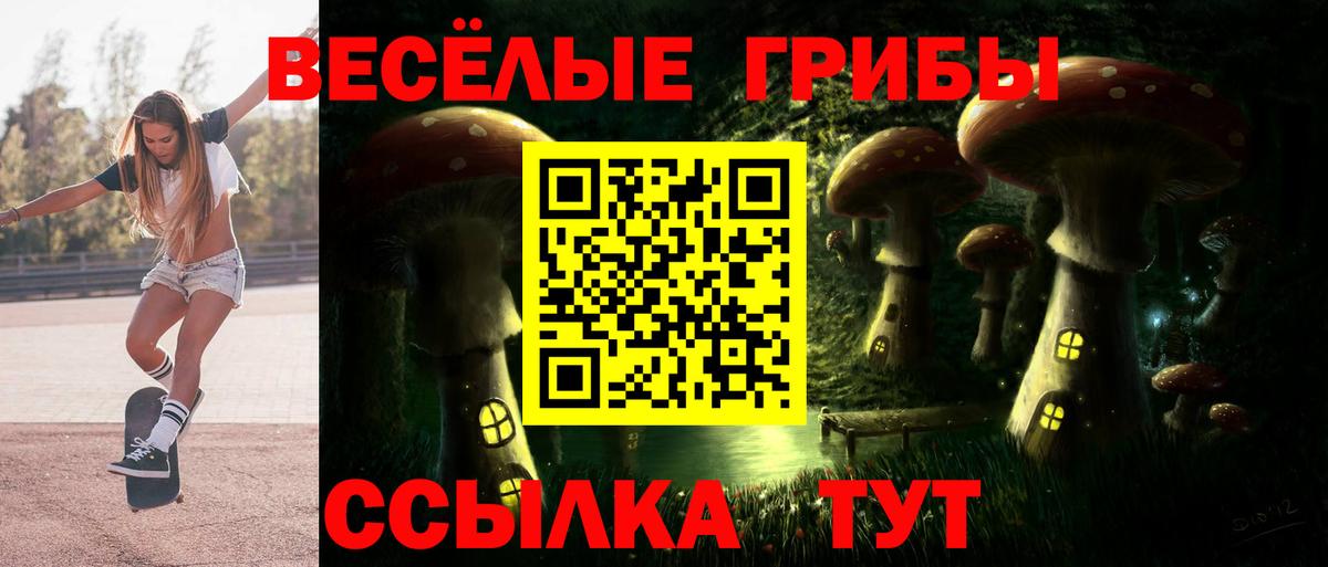 Псилоцибиновые грибы MAGIC MUSHROOMS Жуковский
